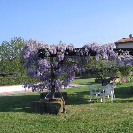 Agriturismo Villani Poderi Nesti & Cupoli ลาสตรา อา ซินญา ภายนอก รูปภาพ
