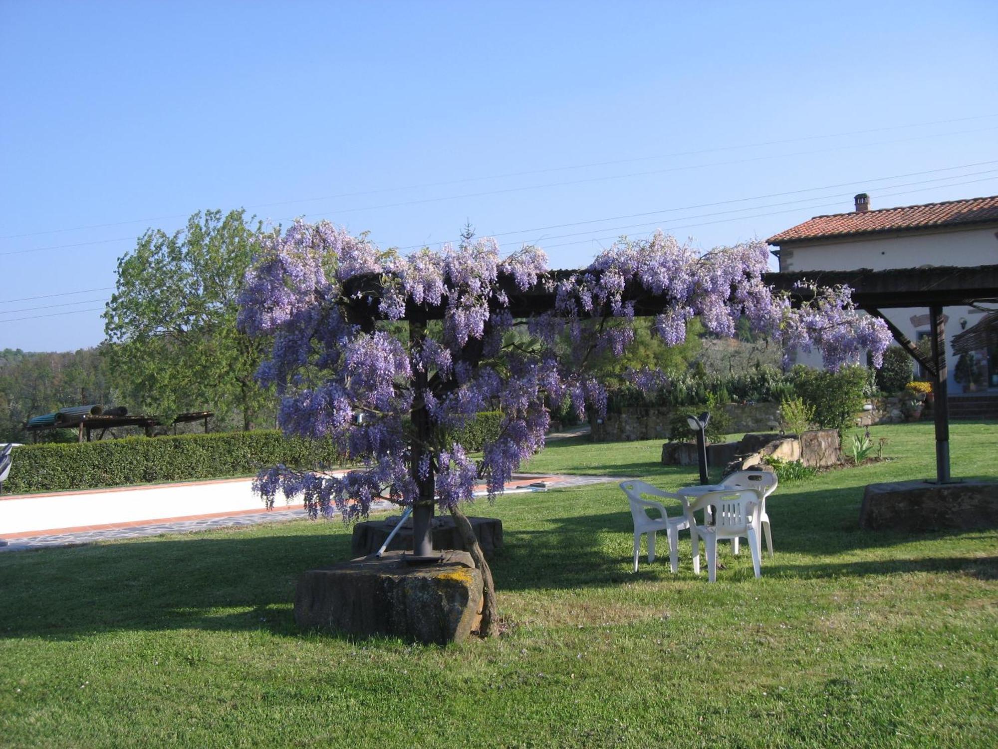 Agriturismo Villani Poderi Nesti & Cupoli ลาสตรา อา ซินญา ภายนอก รูปภาพ